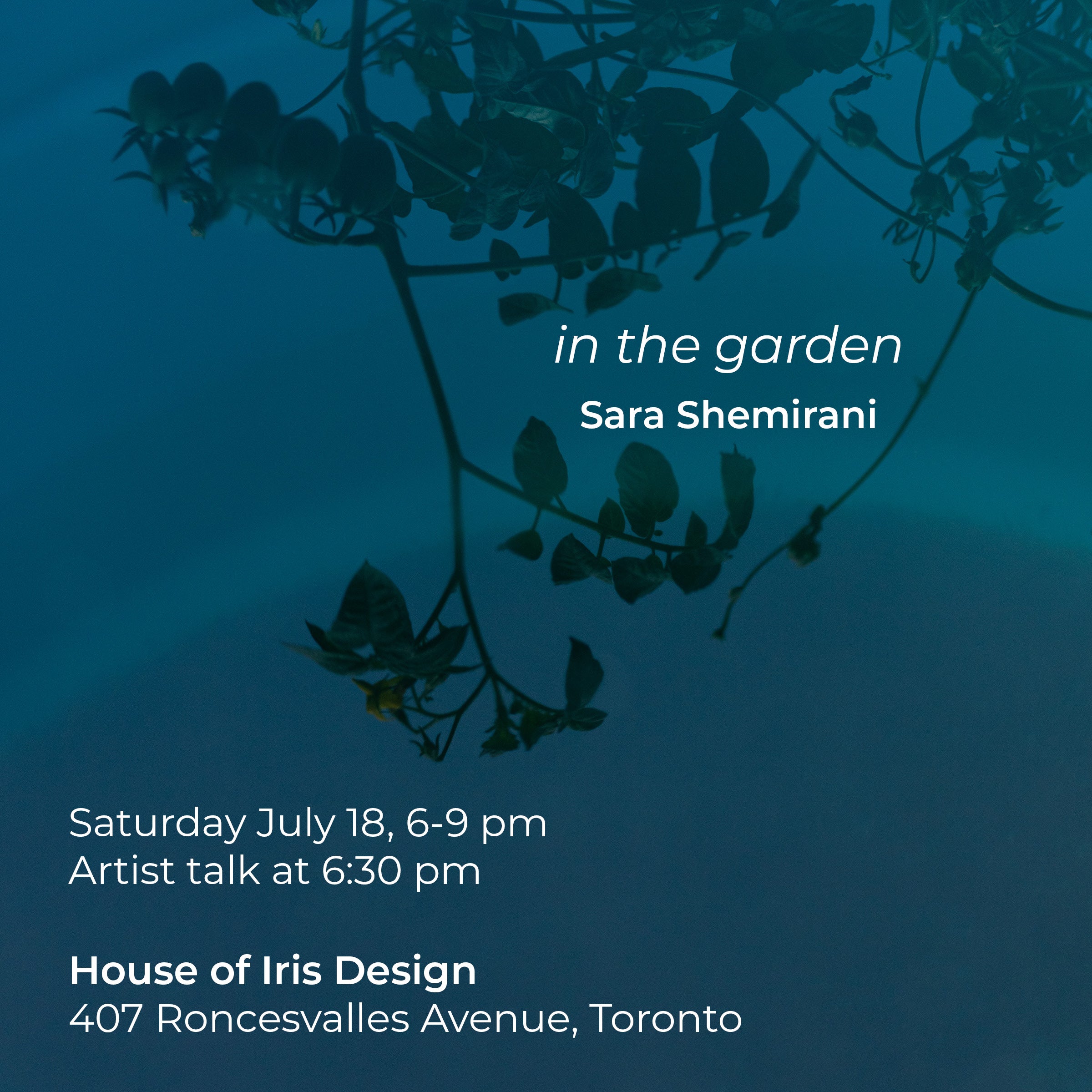 Design Talks 004 x in the garden exhibition (Sara Shemirani)